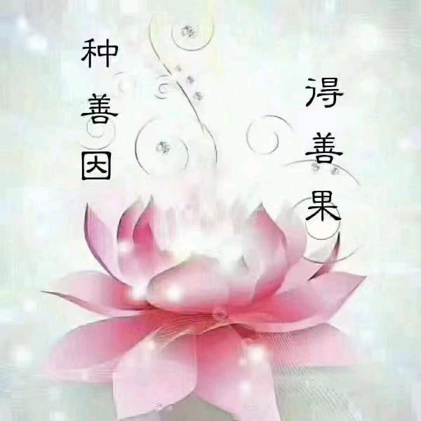 道法自然