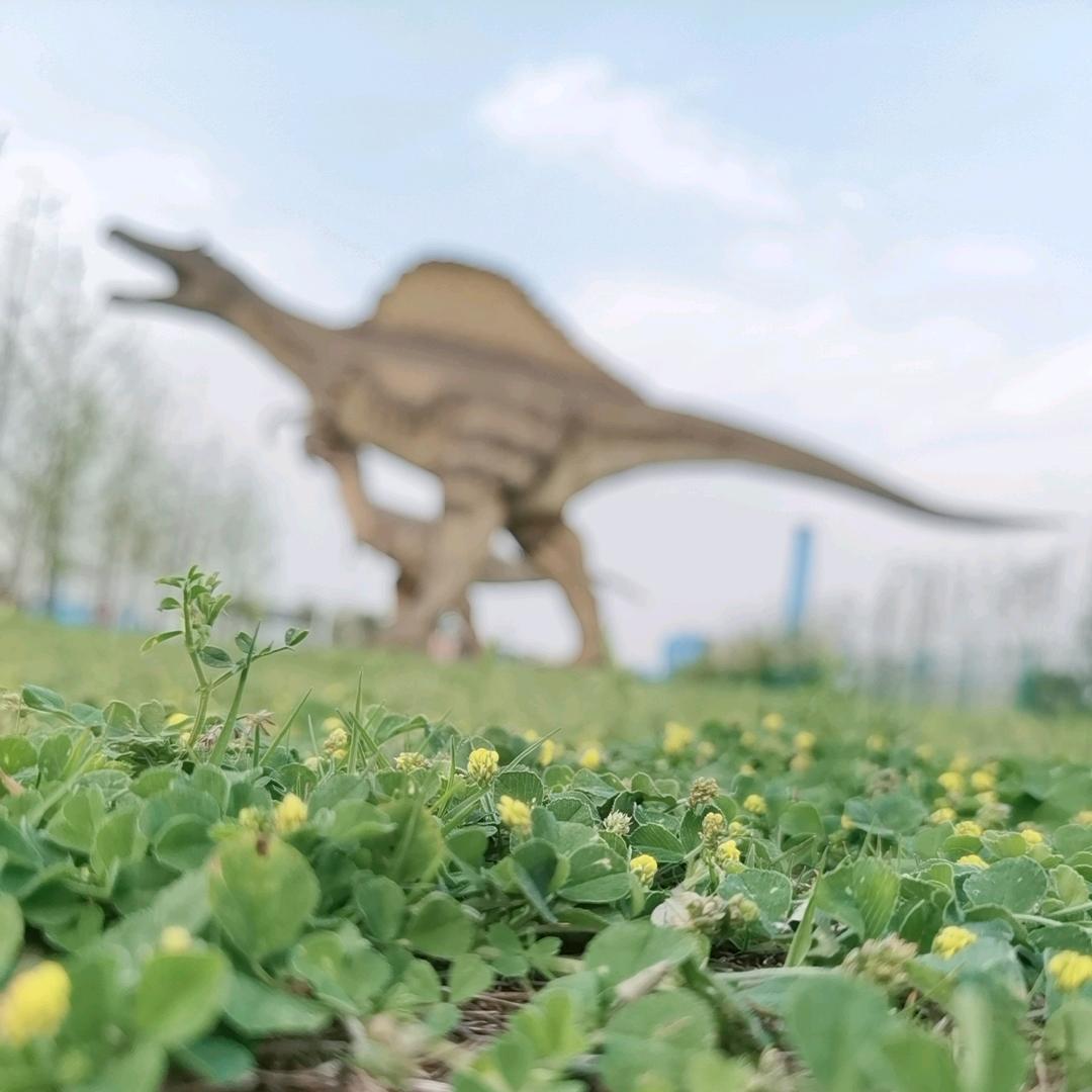 沐沐