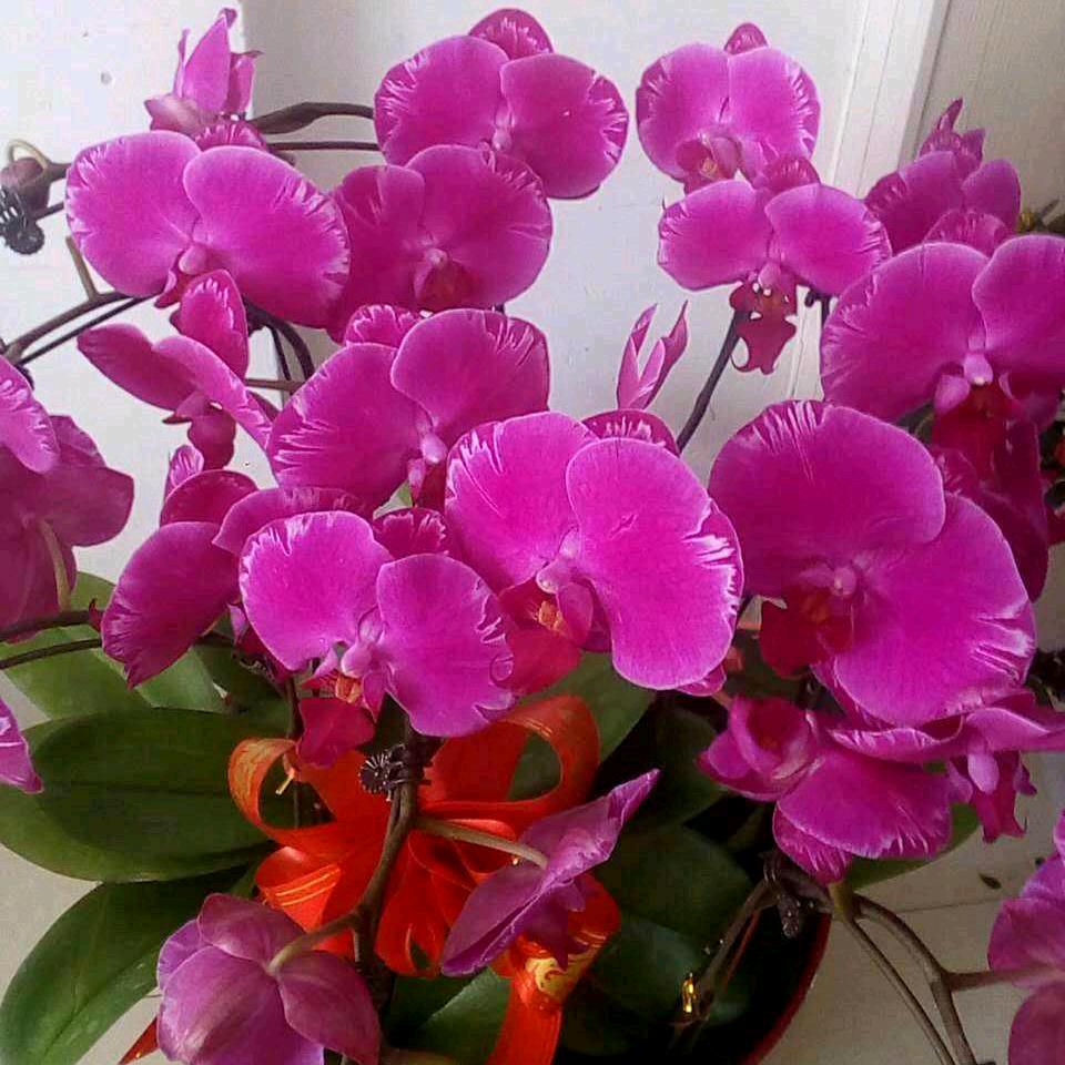 🍁🍃宁静🍃🍁