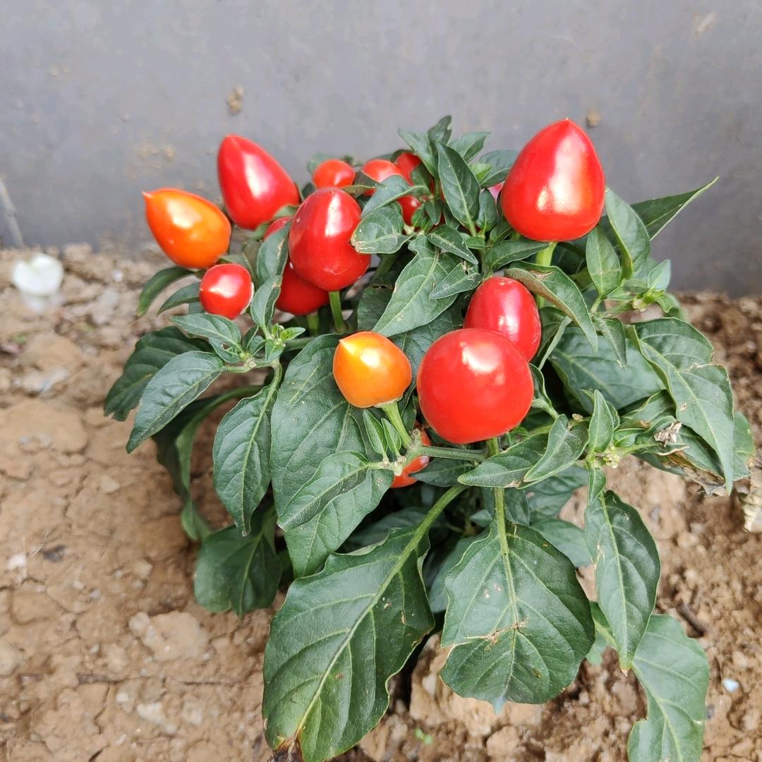 时间都去那儿了