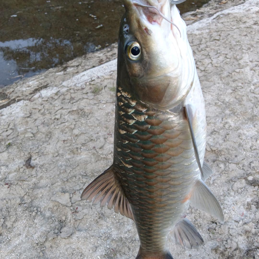 茫茫人海遇见你