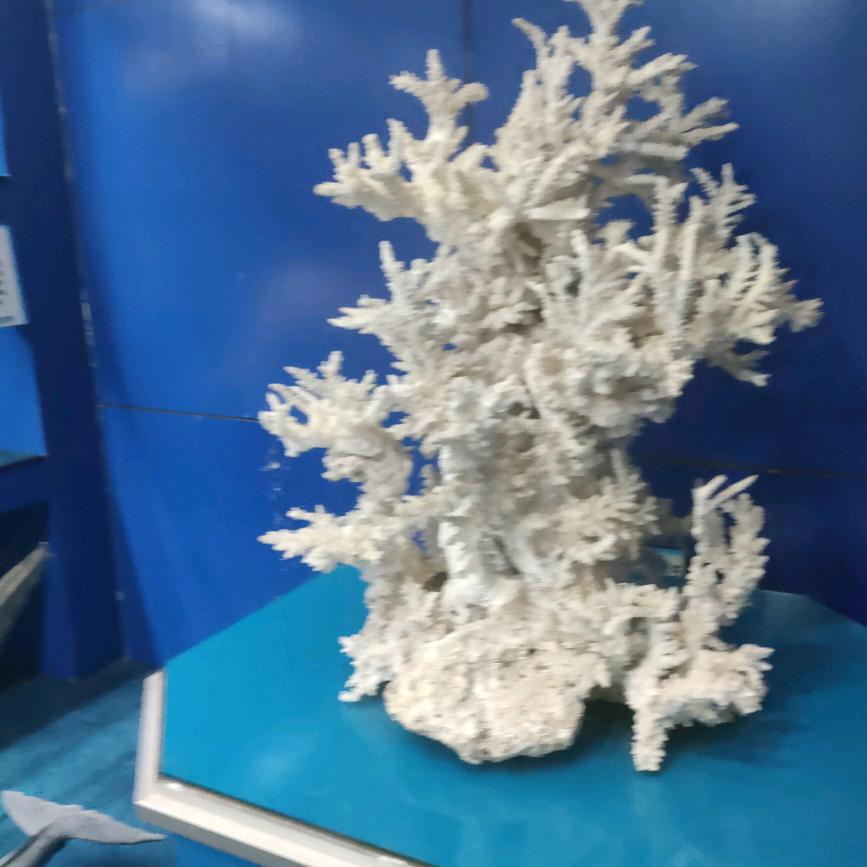 安隐随性