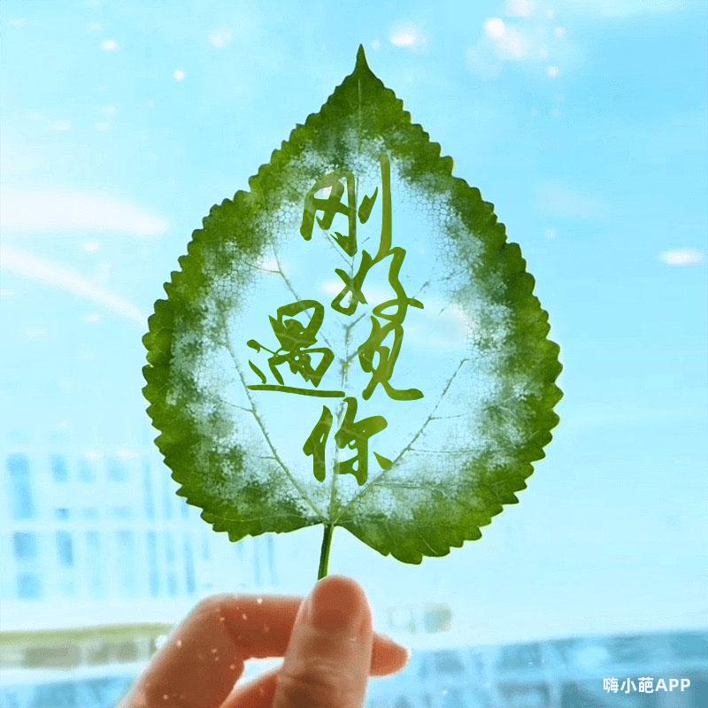 淡识人生