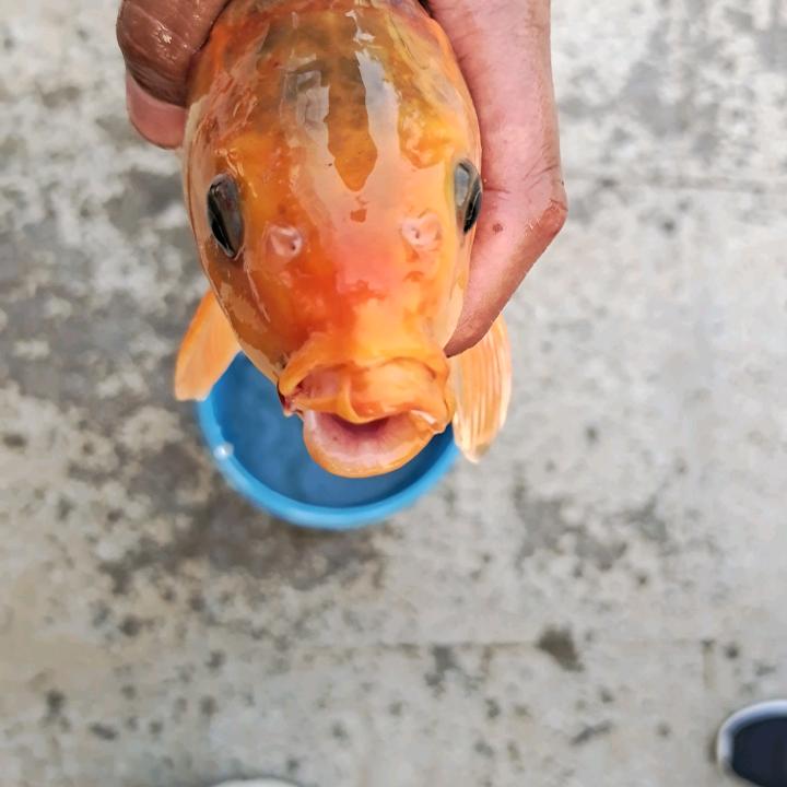 空钩✔☞怼地球☜