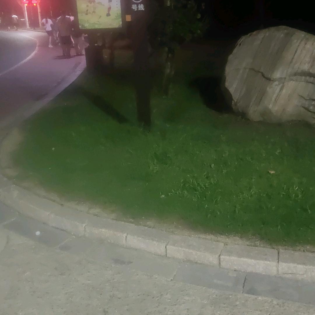 月色的阴影