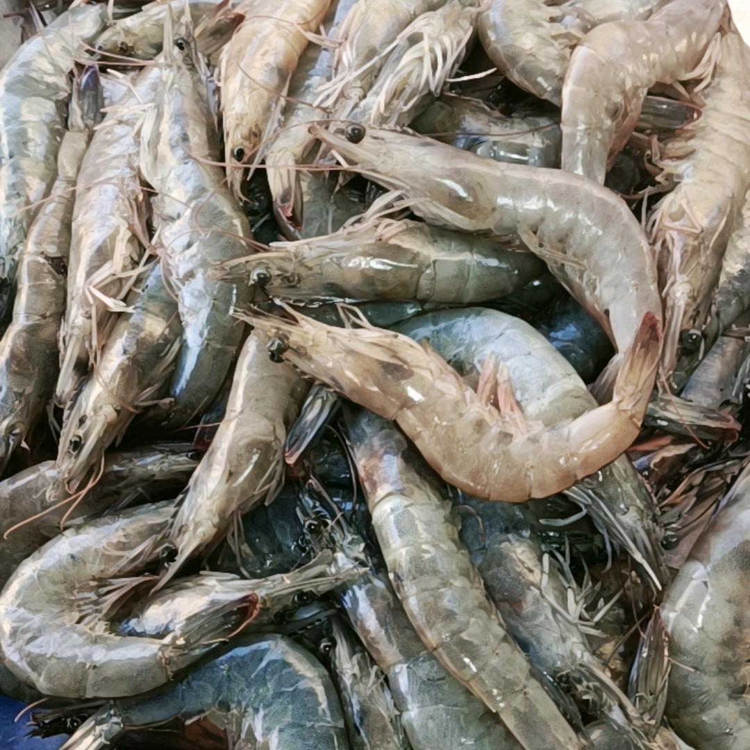 在青岛卖海鲜的单县人