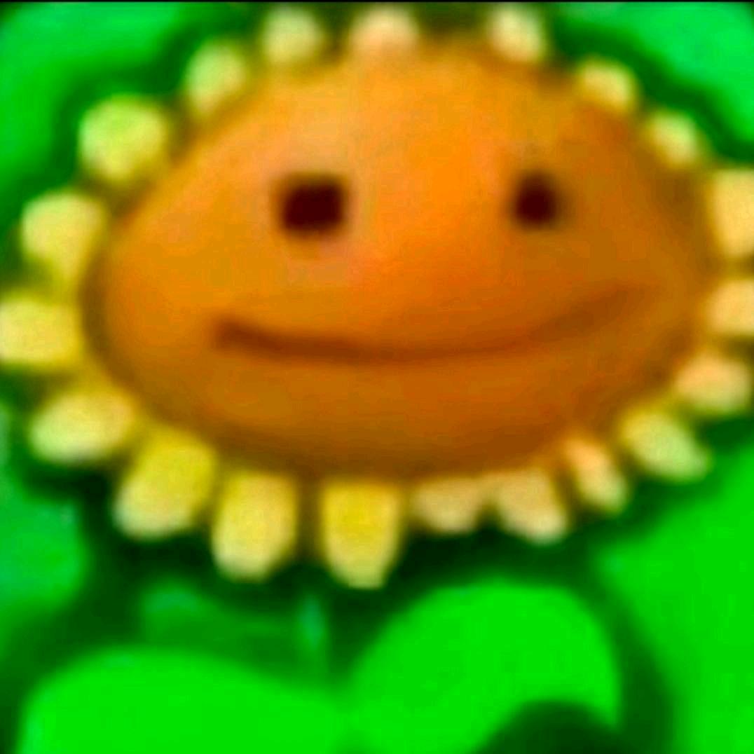 朱伟嘉