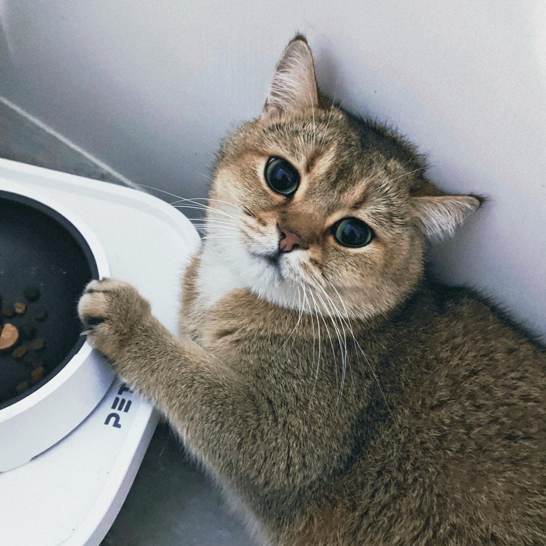 福福👀