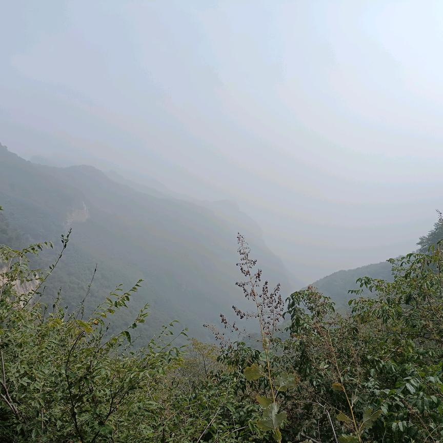 绝情剑客