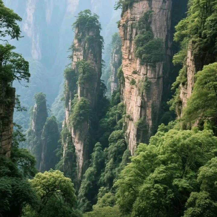 重启人生路