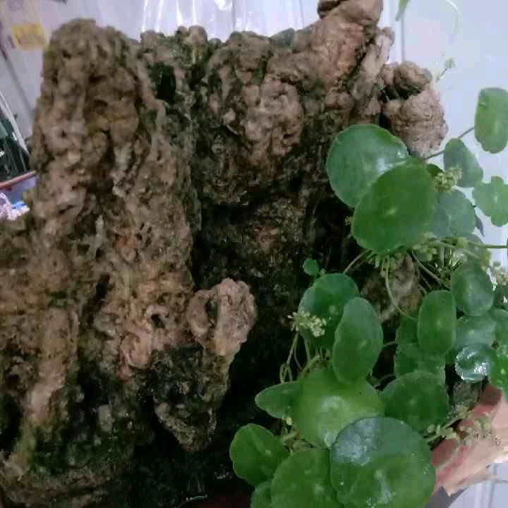 ，二月