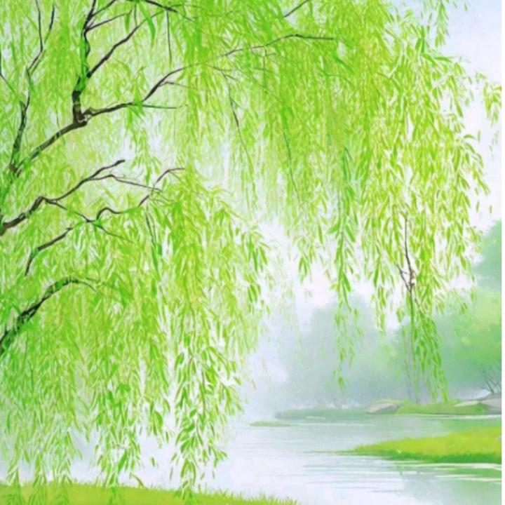 丰衣足食支持正能量