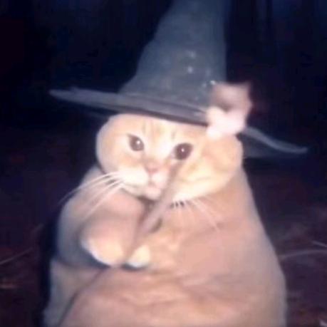 歪歪别玩智能手机了