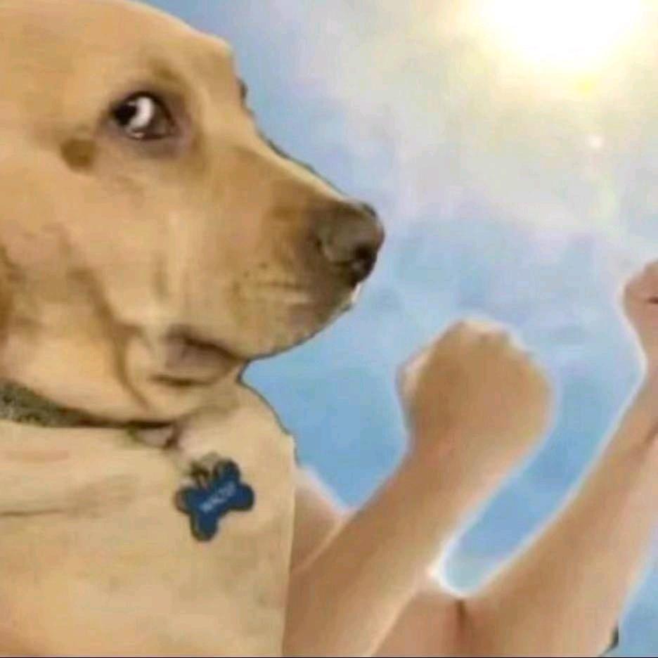 👉🏾木为林