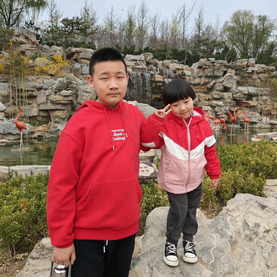 洪菲菲