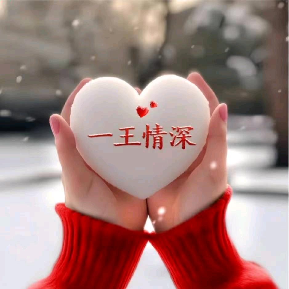 ✨🌙如梦🎄🌴