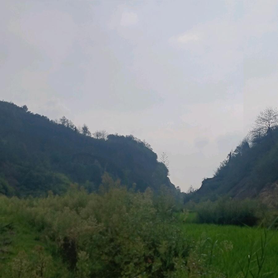 丰，利