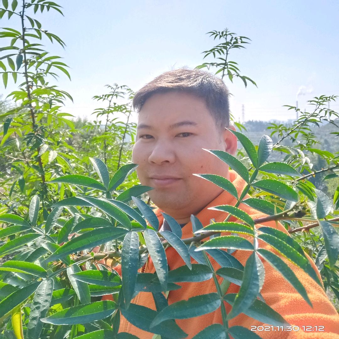 花椒作物科技