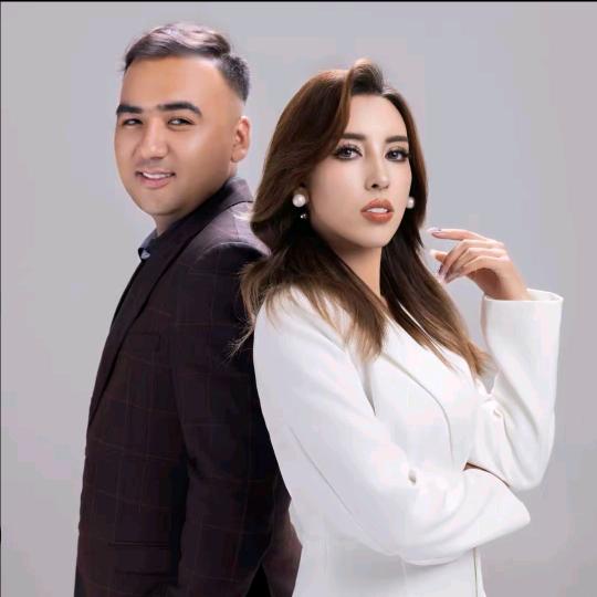 VISALIM公司的法人