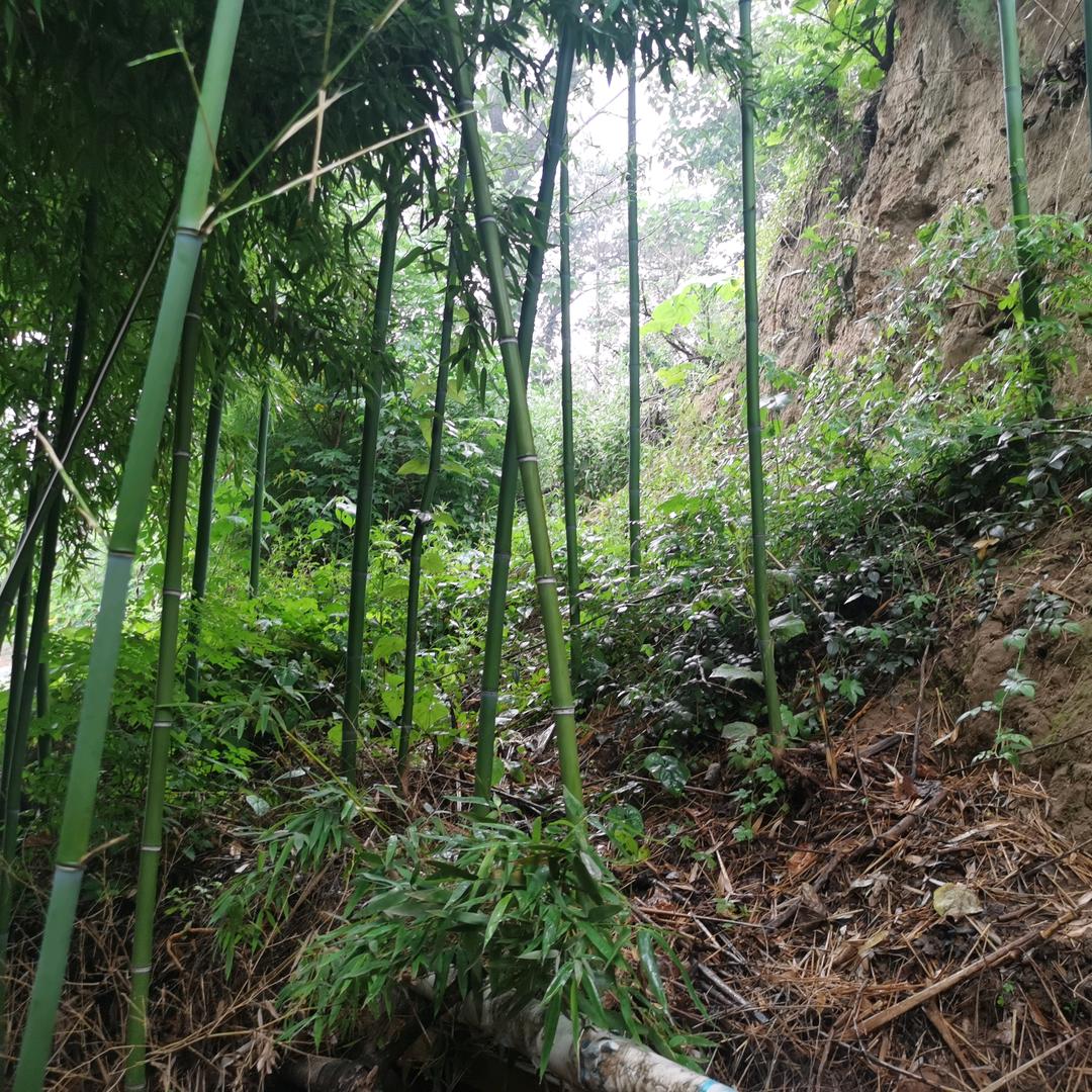 家教集锦