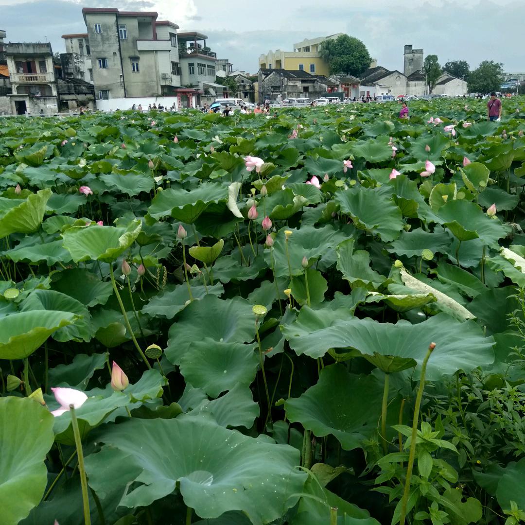 阳光总在风雨后