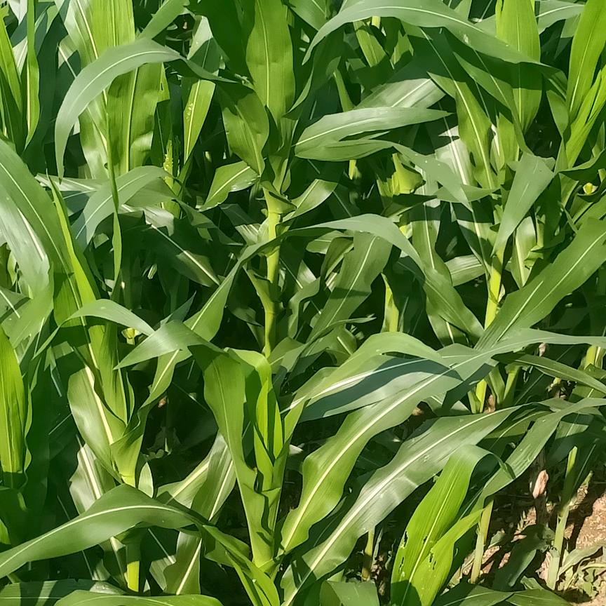 心累让人无助😭😭😭