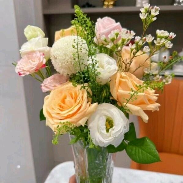 广东，云浮，洛哥