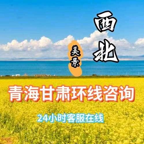 西北青甘大环线专场