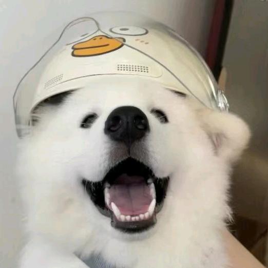 幸福小孩儿