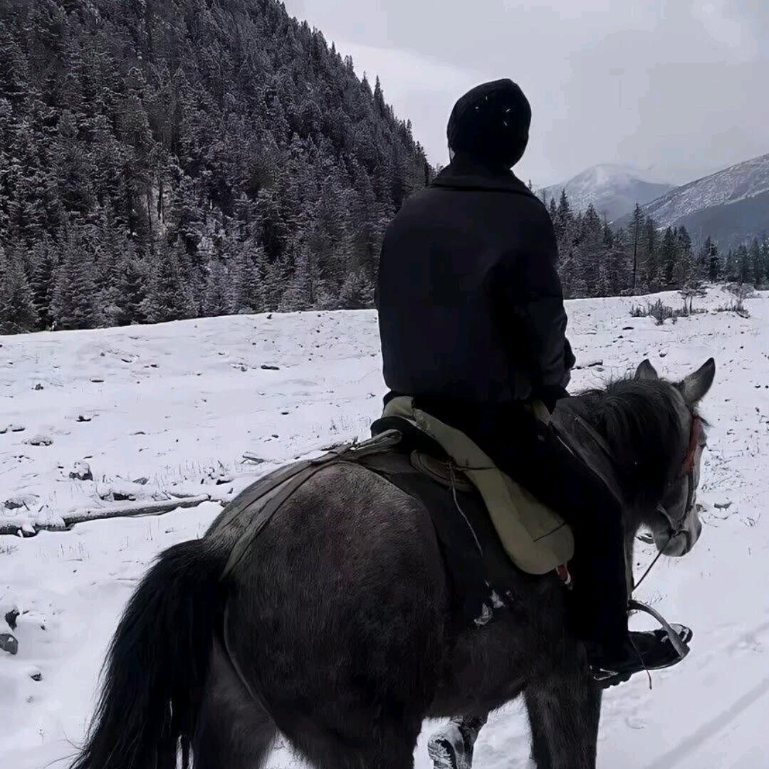 随心所欲