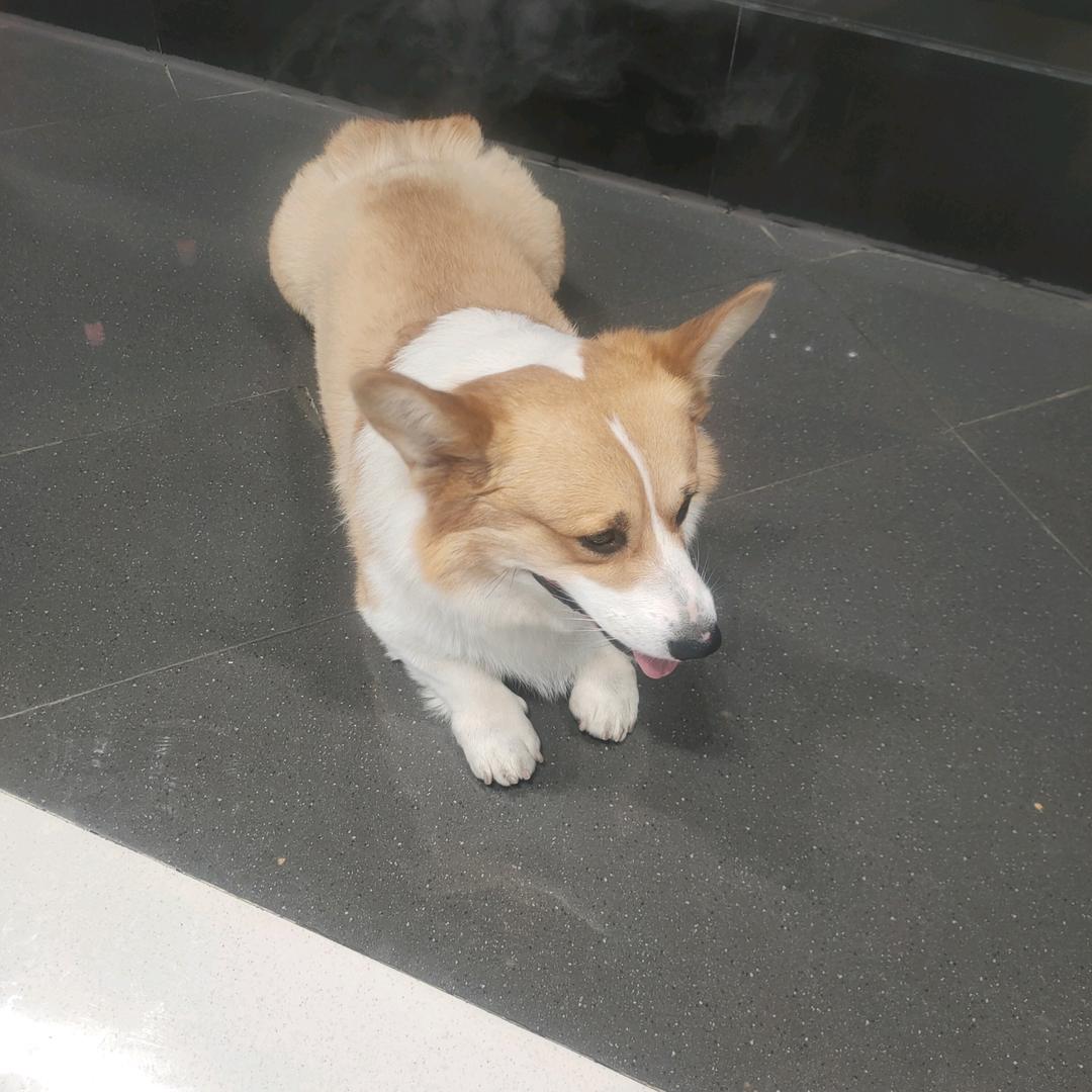 开开心心