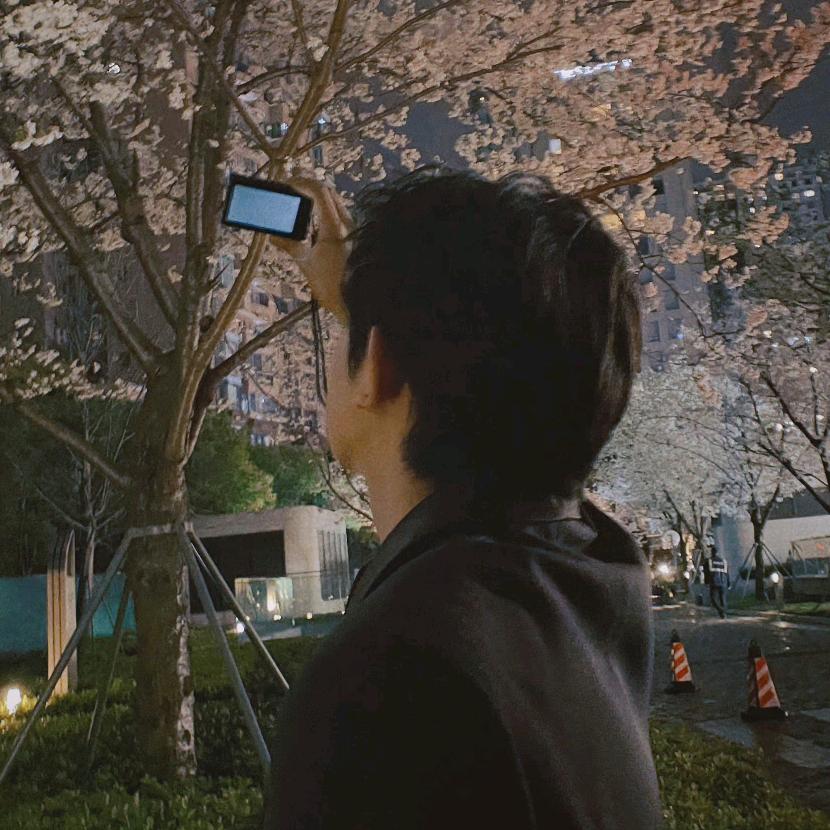 圆圈
