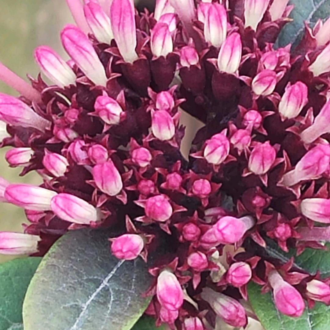 用户7732779193760开心