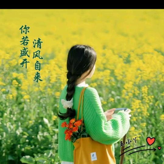 Lisa 王