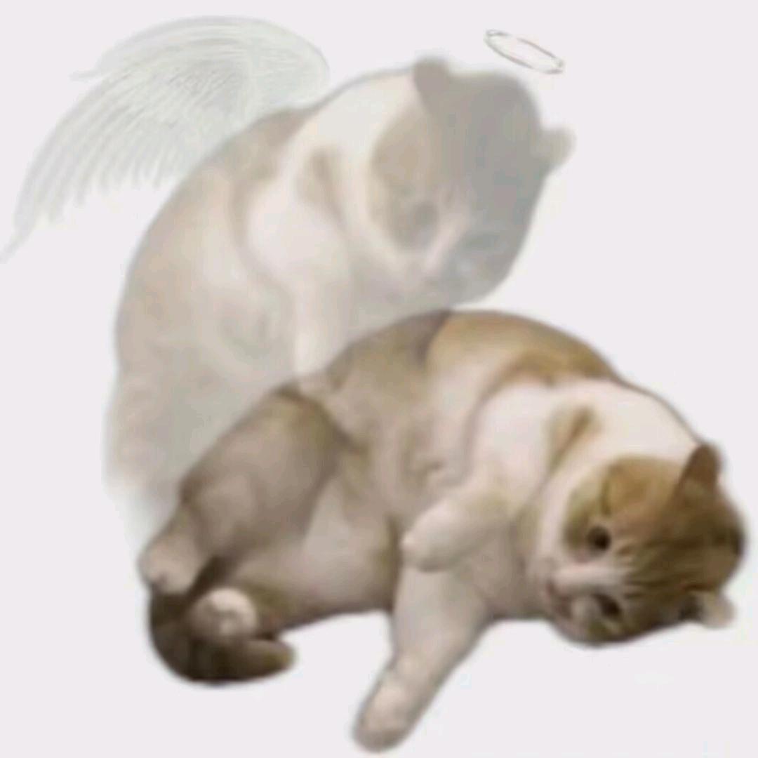 蟹弗