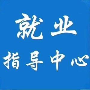 就业指导刘老师