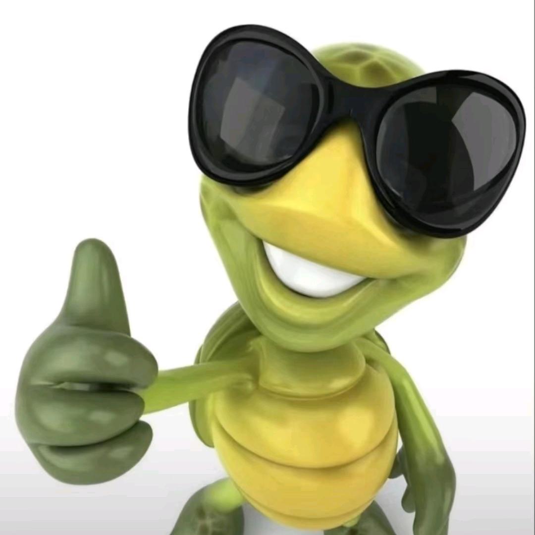 戴墨镜竖大拇哥的小乌龟