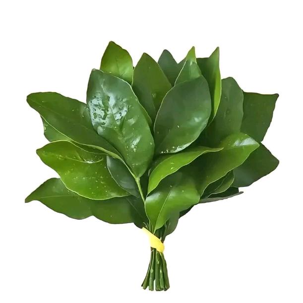 苏洪彬