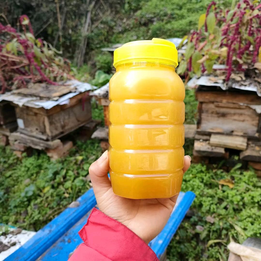 中蜂养殖甜蜜蜜