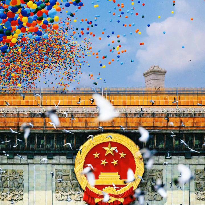 橙子的回收研究所