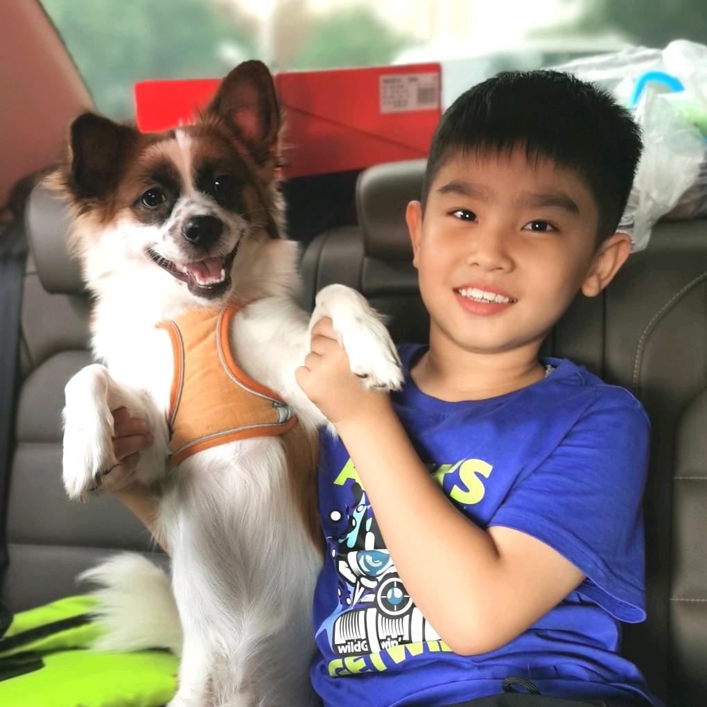 睿先生👦and迪公子🐶