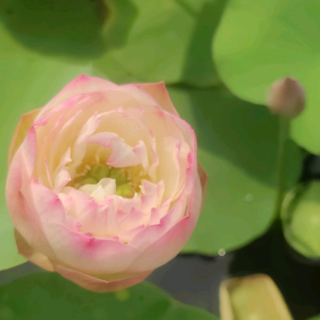 亿满园农夫产品