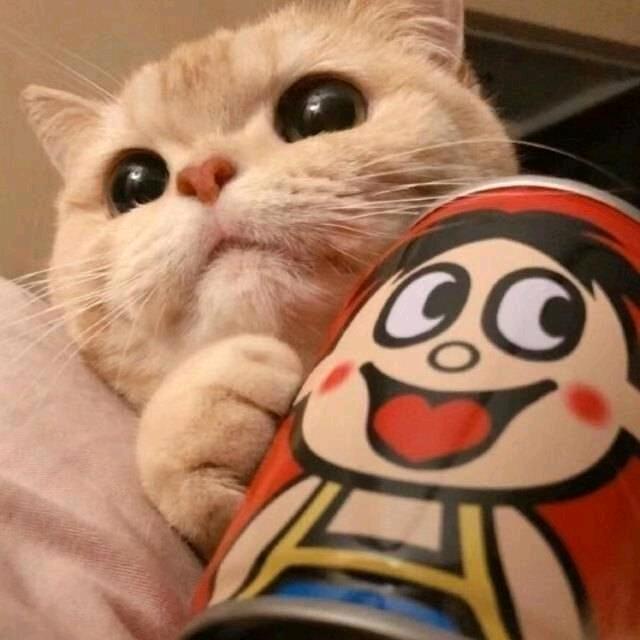 小金宝.⁷ʸ🐟