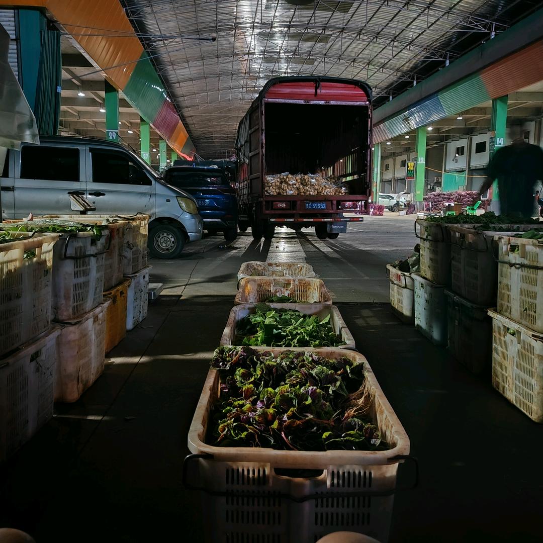 利宾蔬菜批发部