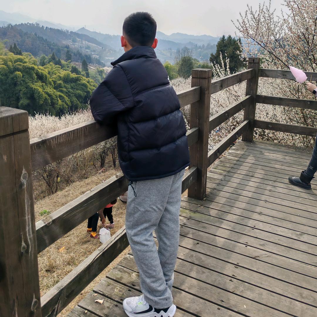 张航航