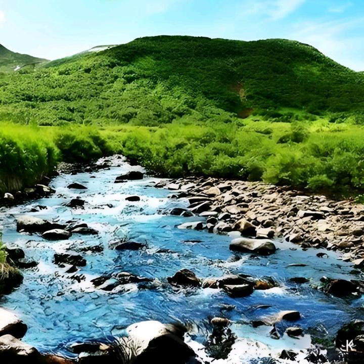 风月客