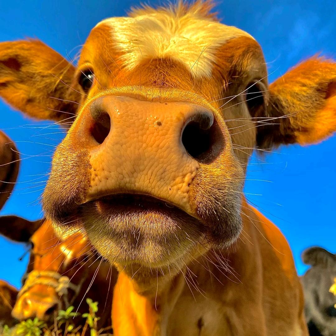 00后两个孩子的小姨😜