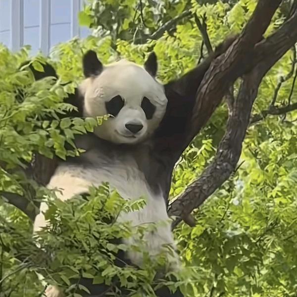 ꧁℘初᭄ᩚ꯭ᩚ心᭄ᩚ꯭ᩚ꧂