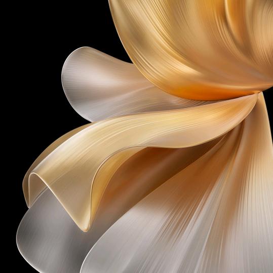 人生坎坷路！自己必走！！！！