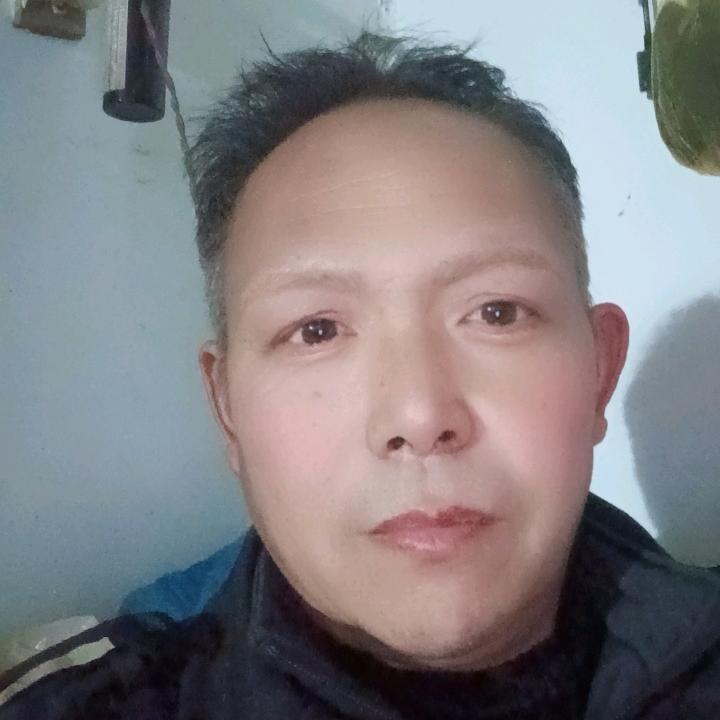 喜欢象甲科的羽大人头像